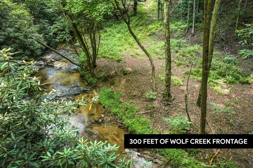 3.13 Acres of Land for Sale in Mineral Bluff, GA - Mineral Bluff, Georgia, 30559