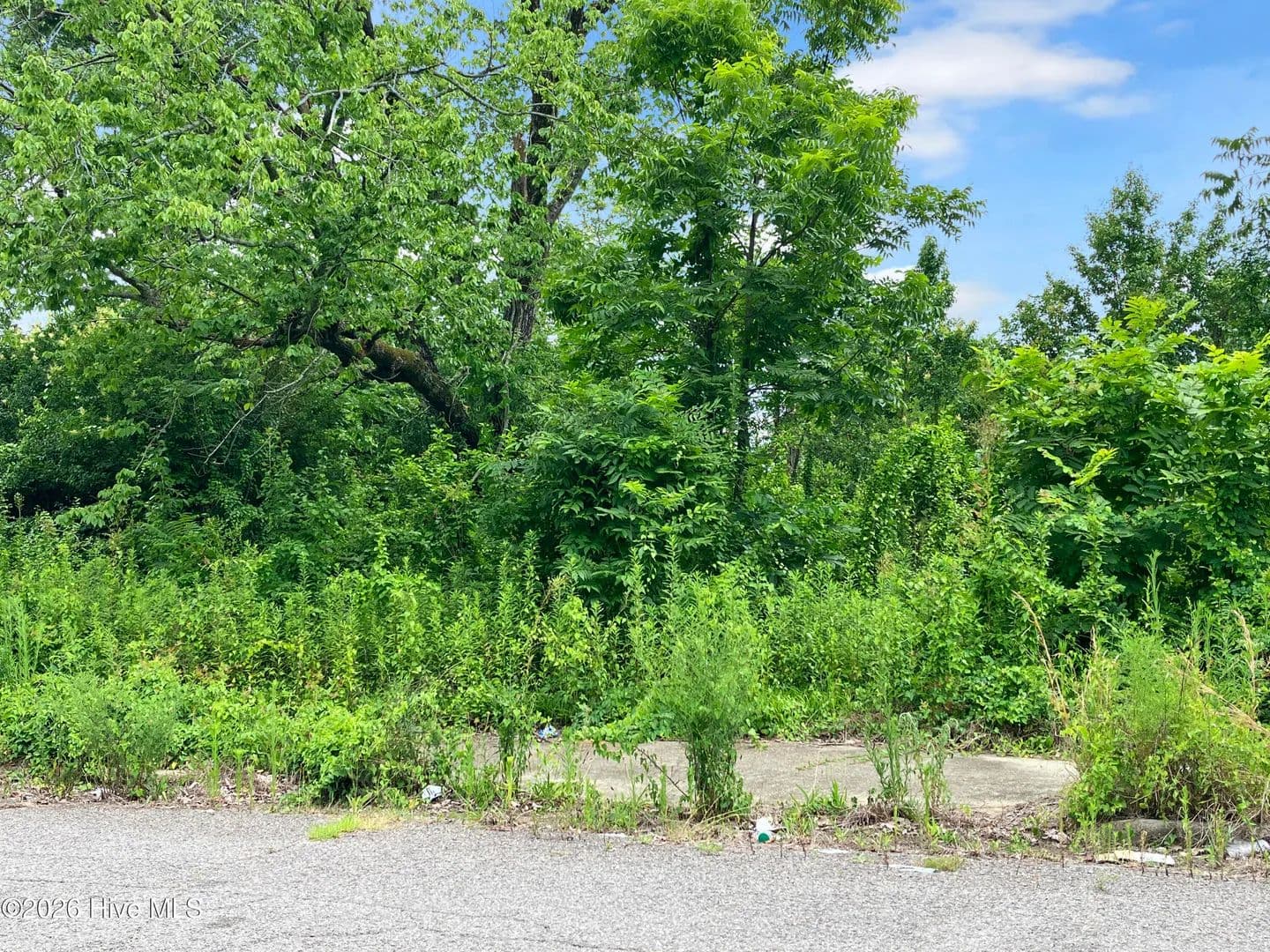 Property from 1316 Conklin Avenue - KW - Augusta, Georgia, 30901