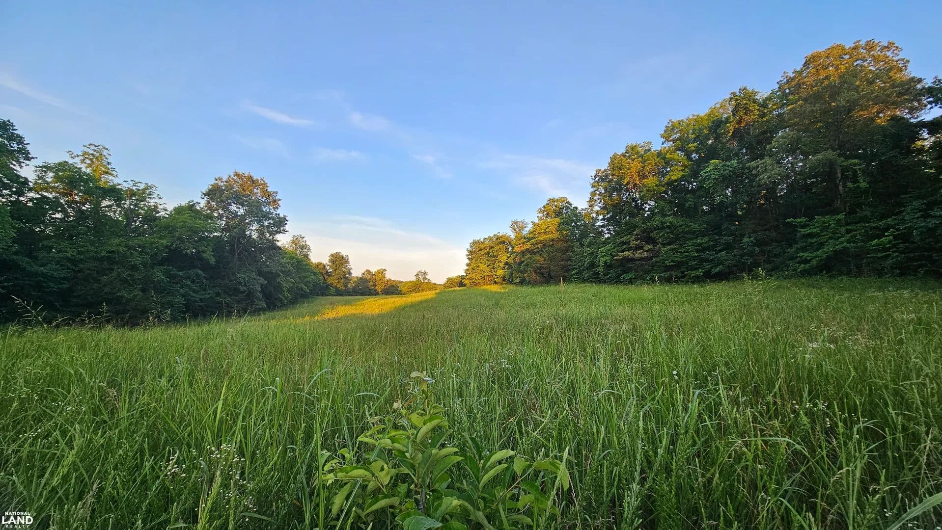 40+/- Acres Tomahawk Slab Road - Saint Joe, Arkansas, 72675