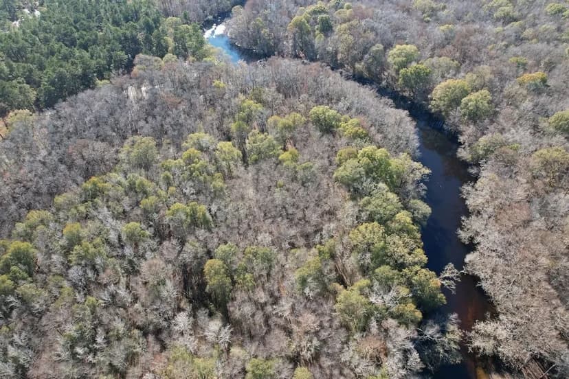 17.3 Acres of Riverfront Land For Sale in Columbus County NC!