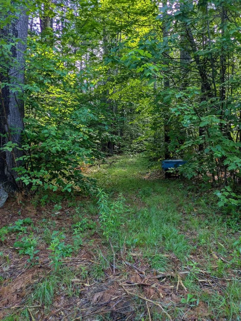 Property from 128 Brock Hill Road - KW - Grafton, New Hampshire, 3240