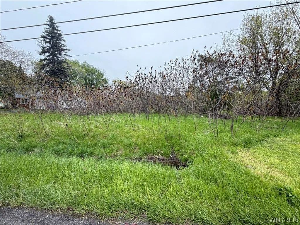 Lots & Land-Other in Lewiston - Lewiston, New York, 14092