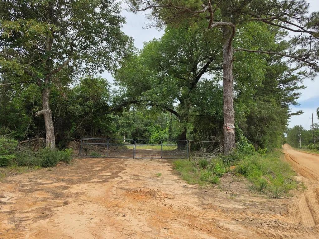 17.5 Acres of Land for Sale in Colmesneil, Texas - Colmesneil, Texas, 75938