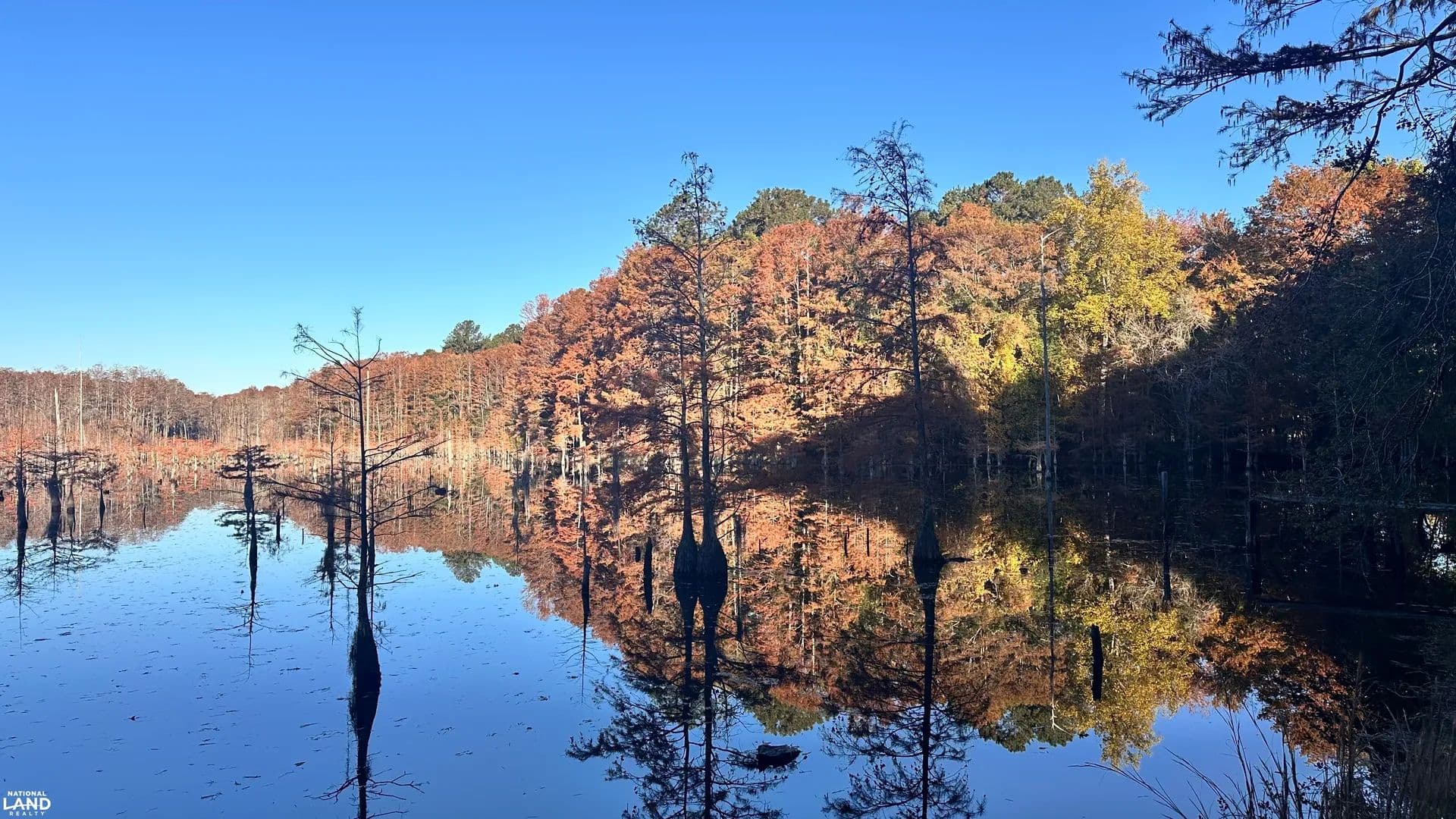 Segars Millpond Tract - Hartsville, South Carolina, 29550