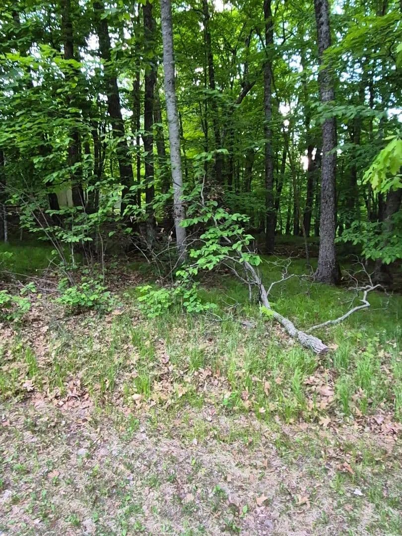 Property from TBD LOT 353 195th Place - KW - Mcgregor, Minnesota, 55760