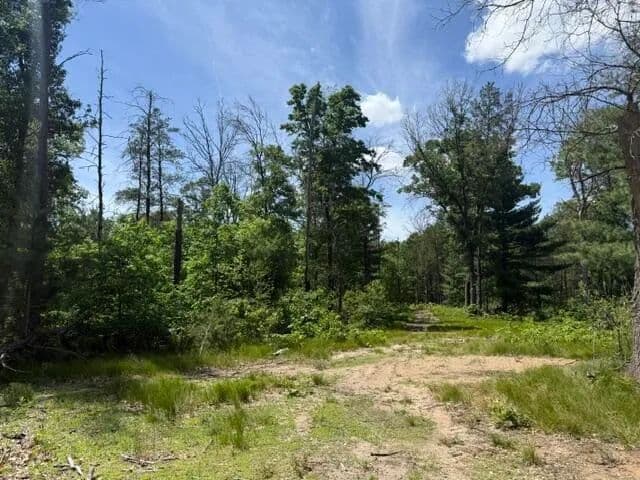 4.93 Acres of Land for Sale in Baldwin, MI - Baldwin, Michigan, 49304
