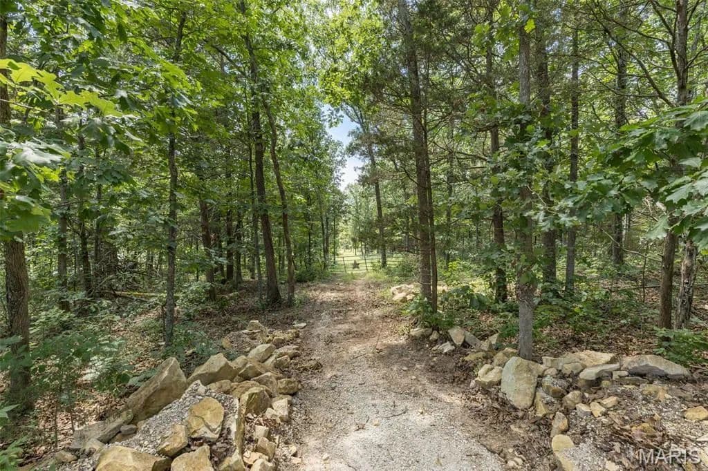 Vacant Land in De Soto - De Soto, Missouri, 63020