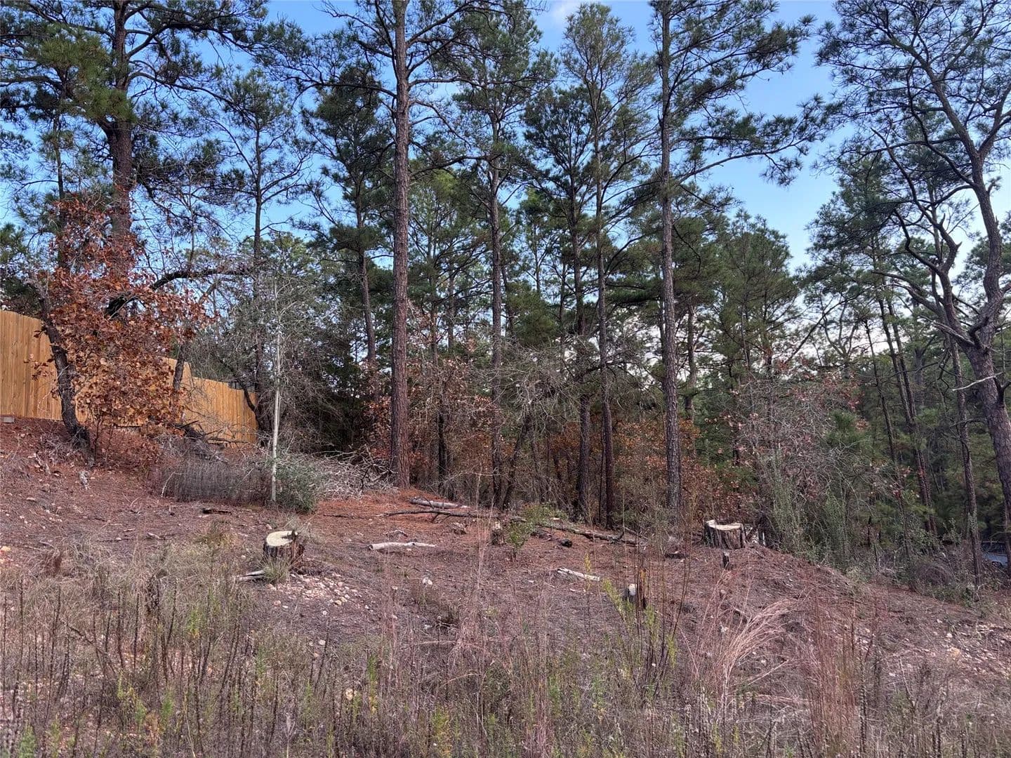 0.54 Acres of Land for Sale in Bastrop, TX - Bastrop, Texas, 78602