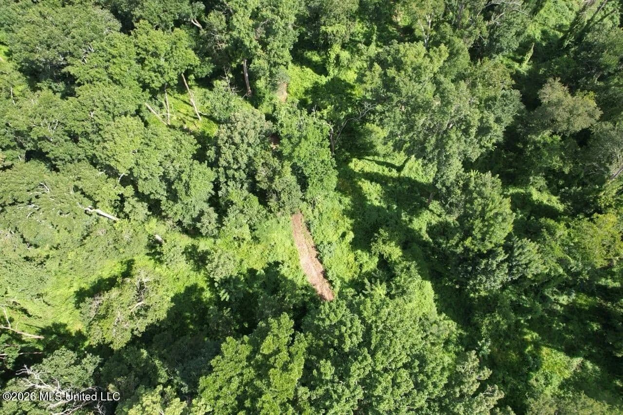 140± Acres in West Feliciana Parish, LA - Saint Francisville, Louisiana, 70775