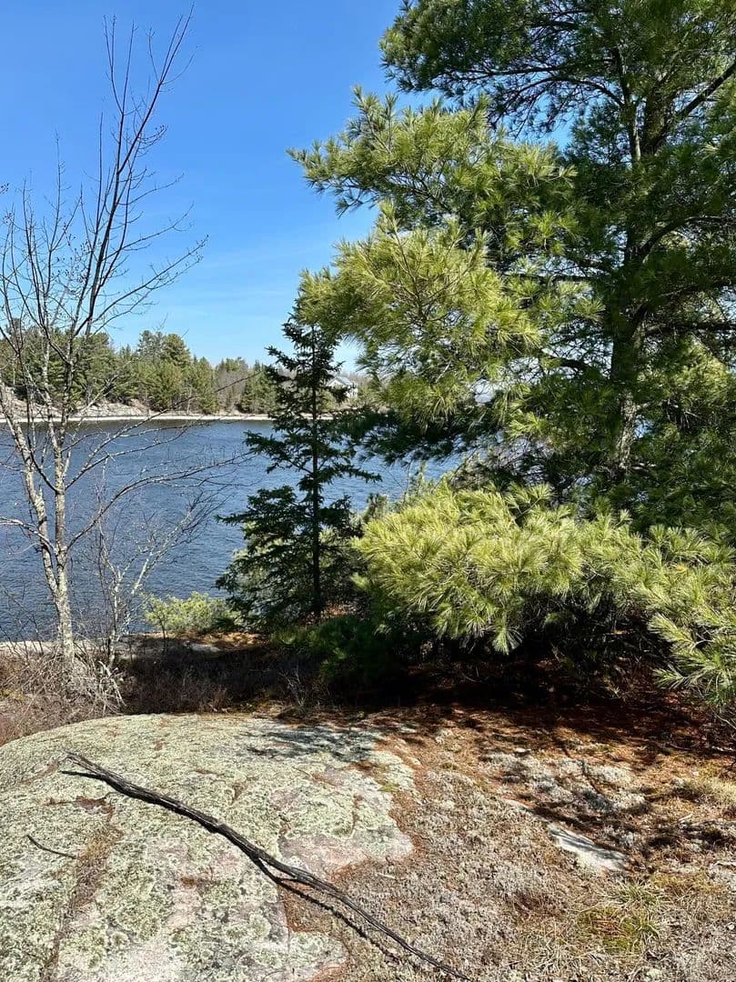 13.4 Acres of Land for Sale in Kabetogama, MN - Kabetogama, Minnesota, 56669