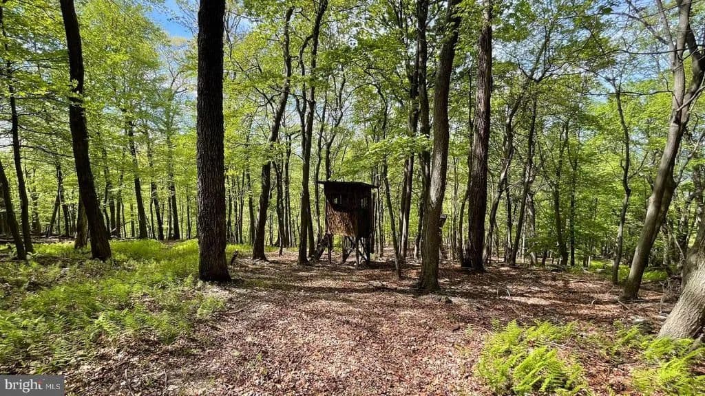 Property from 133.944 ACRES RUSSELLDALE ROAD - KW - Burlington, West Virginia, 26710