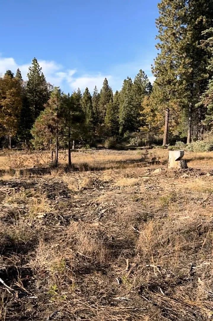 Property from 0 Shaver Lake - KW - Auberry, California, 93602