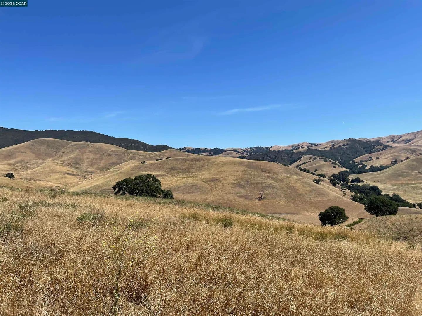 Property from 0 Finley Rd - KW - Danville, California, 94583