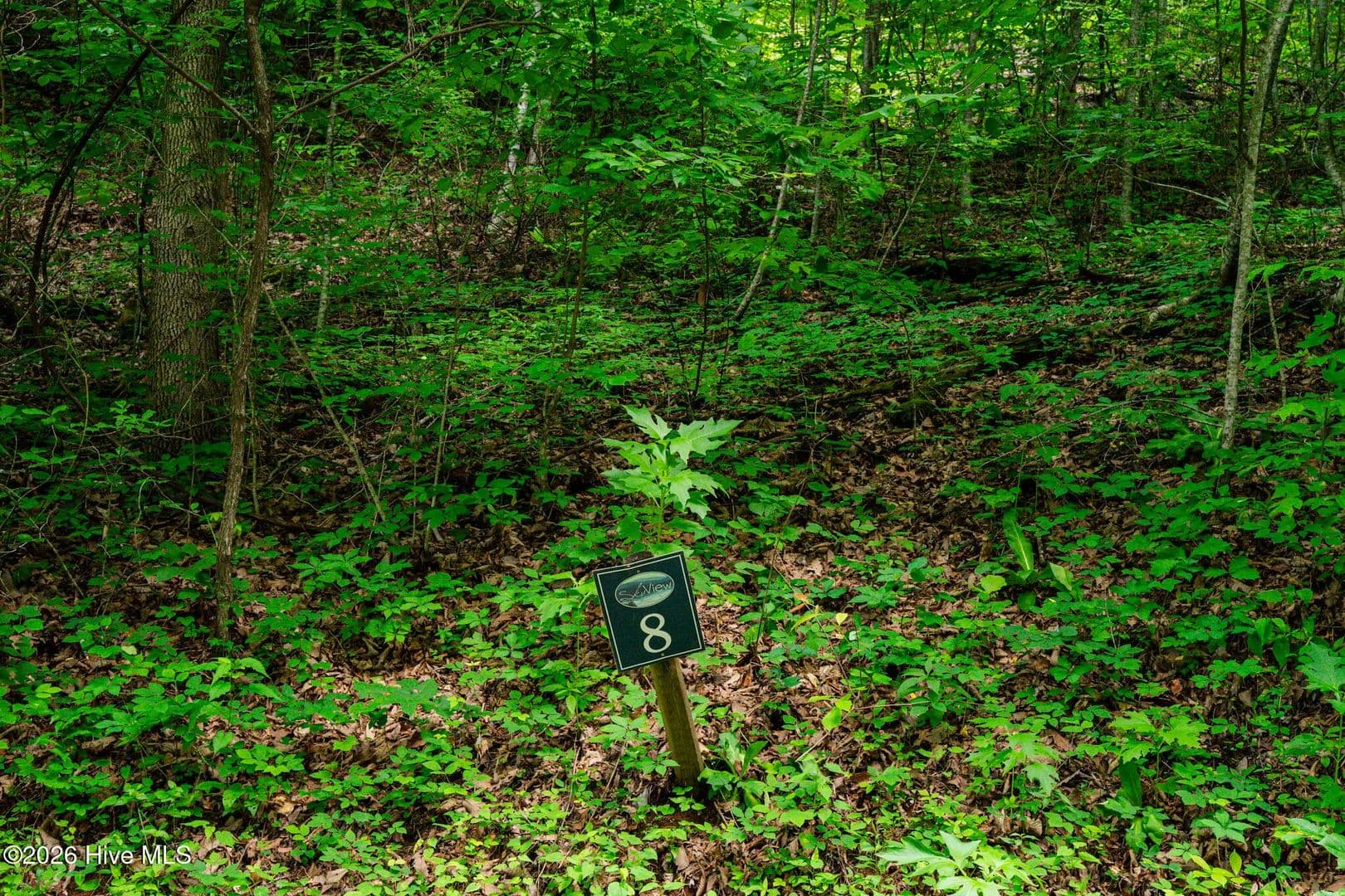 1 Acre of Land for Sale in Hayesville, North Carolina - Hayesville, North Carolina, 28904