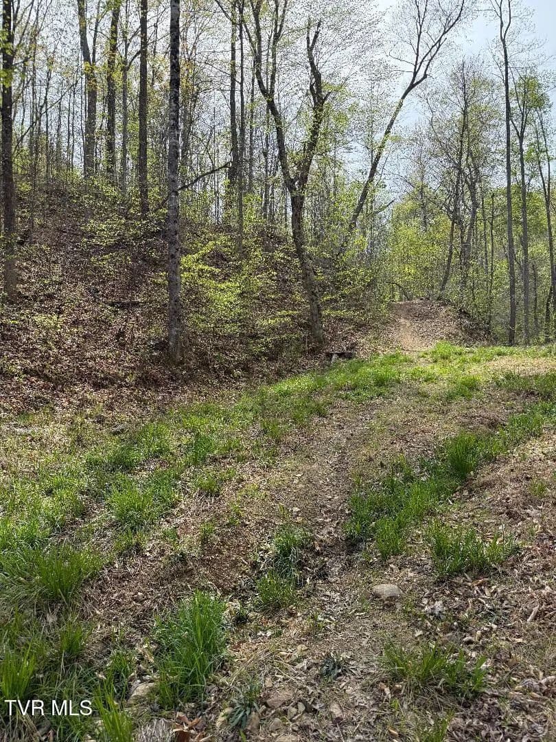 Property from 0 Pine Mountain Road - KW - Rogersville, Tennessee, 37857