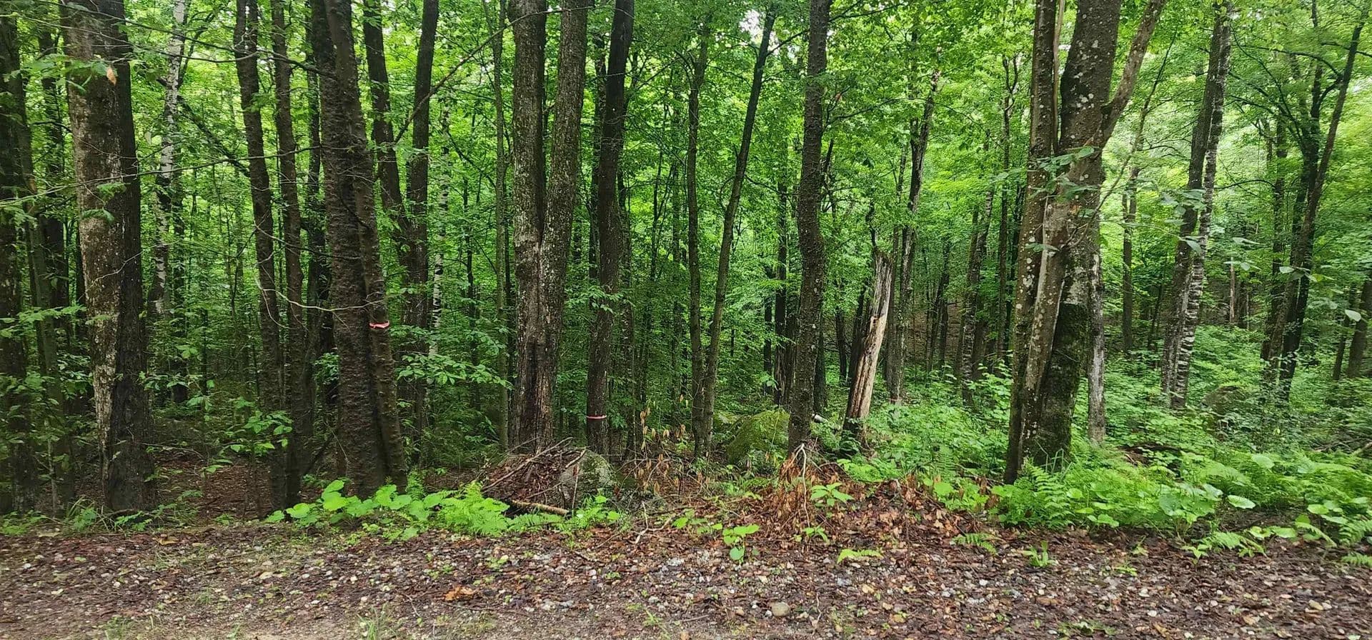 2.1 Acres of Land for Sale in Stoddard, NH - land for sale