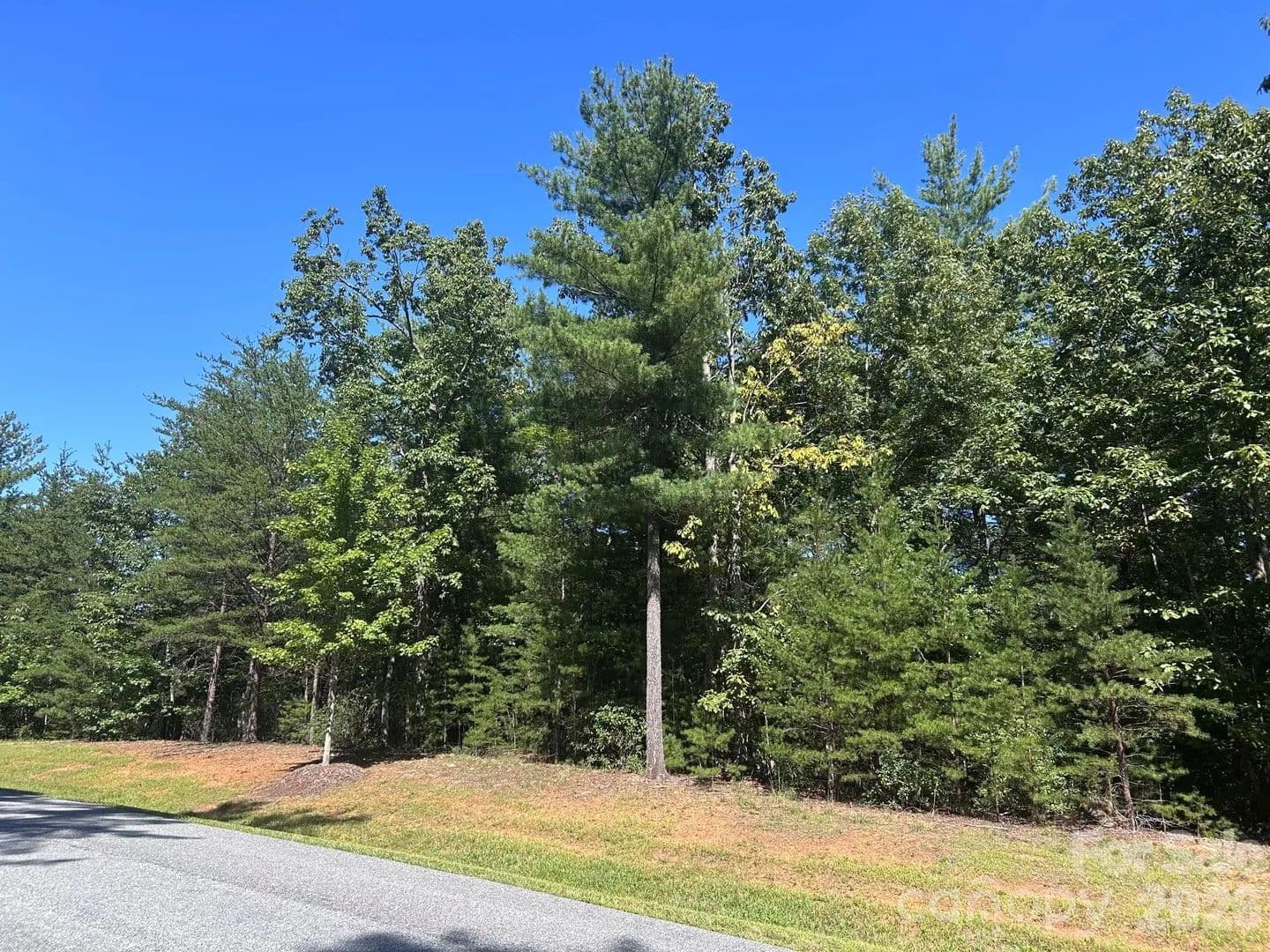 1.48 Acres of Land for Sale in Nebo, NC - Nebo, North Carolina, 28761