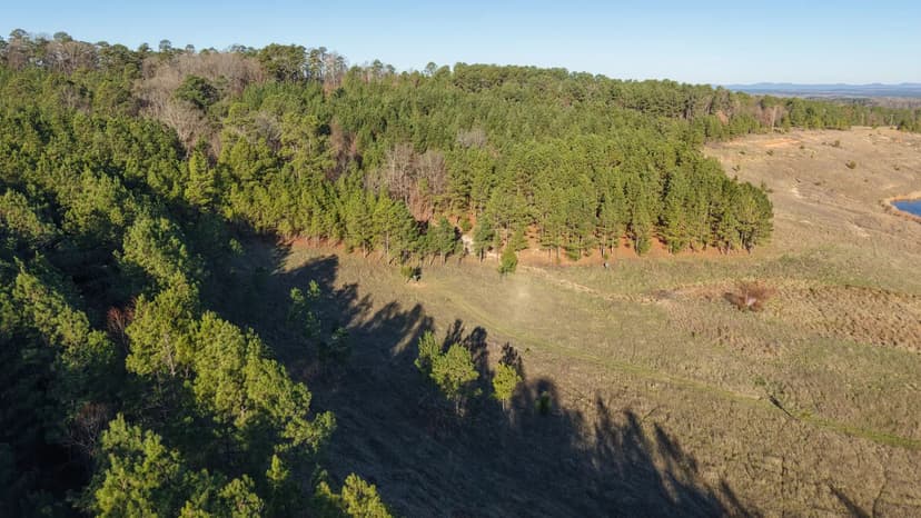 197.94 Acres in Howard County, AR