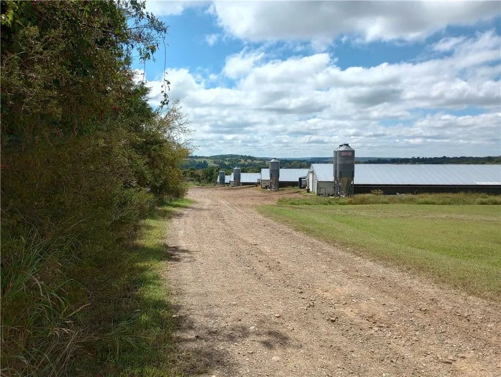 62 Acres of Land for Sale in Huntsville, Arkansas - Huntsville, Arkansas, 72740