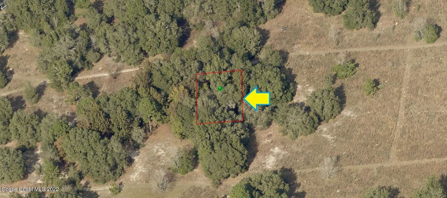 Vacant Land in Inverness - Inverness, Florida, 34453