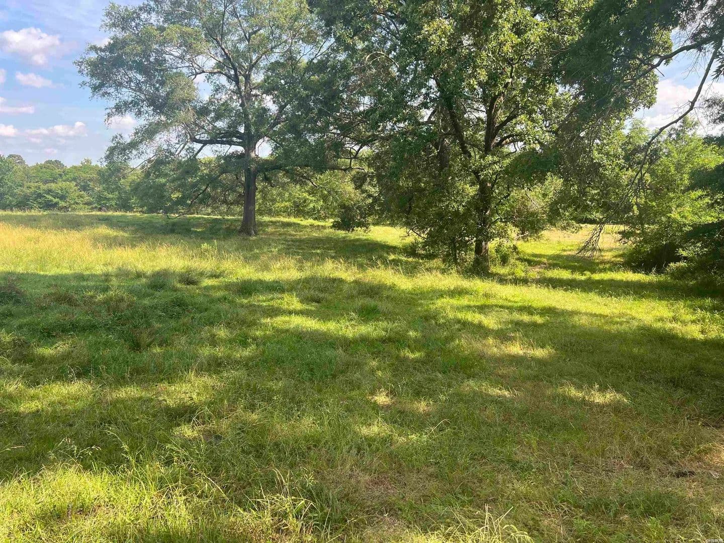 Property from xx MOUNTAIN VIEW - KW - Glenwood, Arkansas, 71943