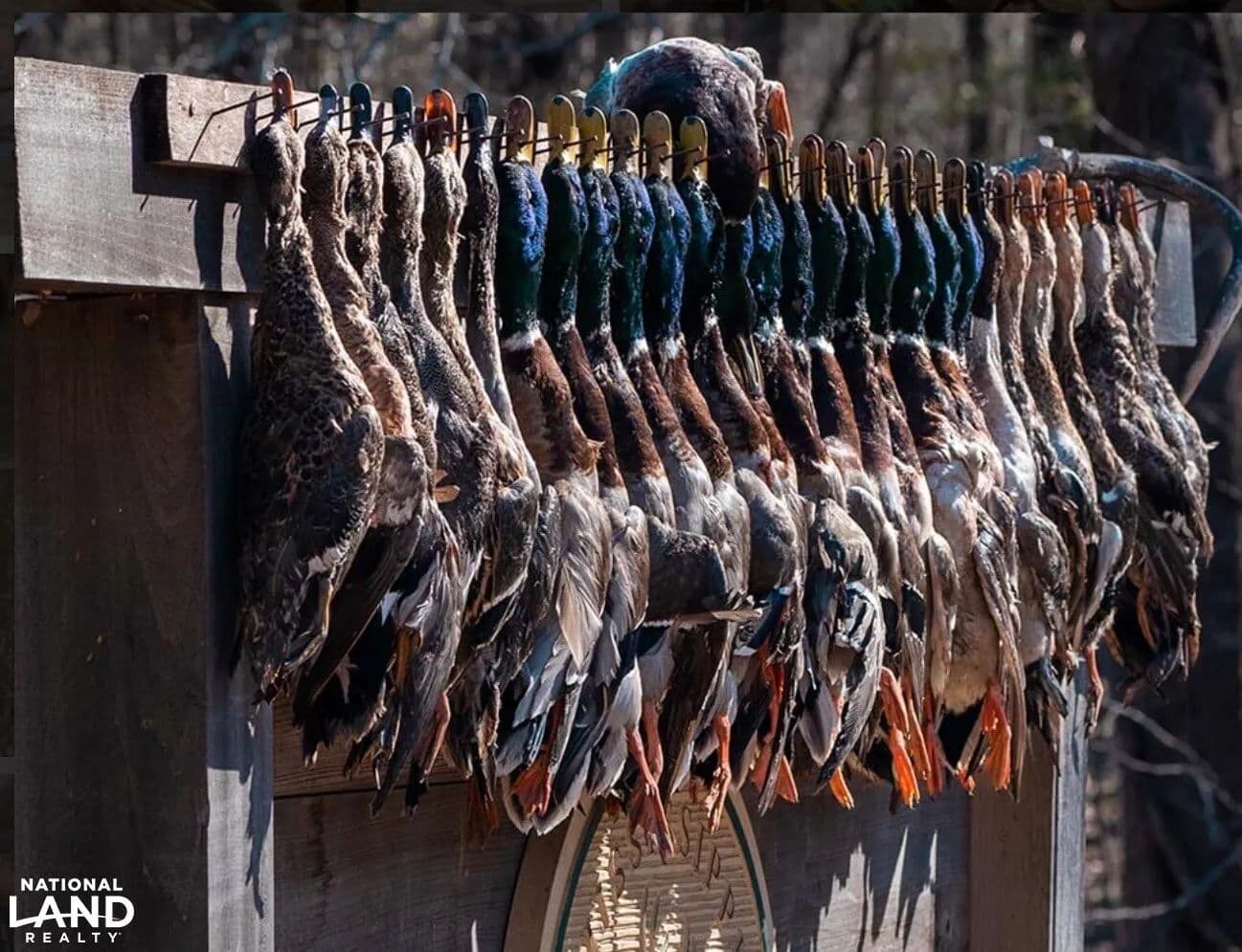 The Fitler Tract - Rolling Fork, Mississippi, 39159