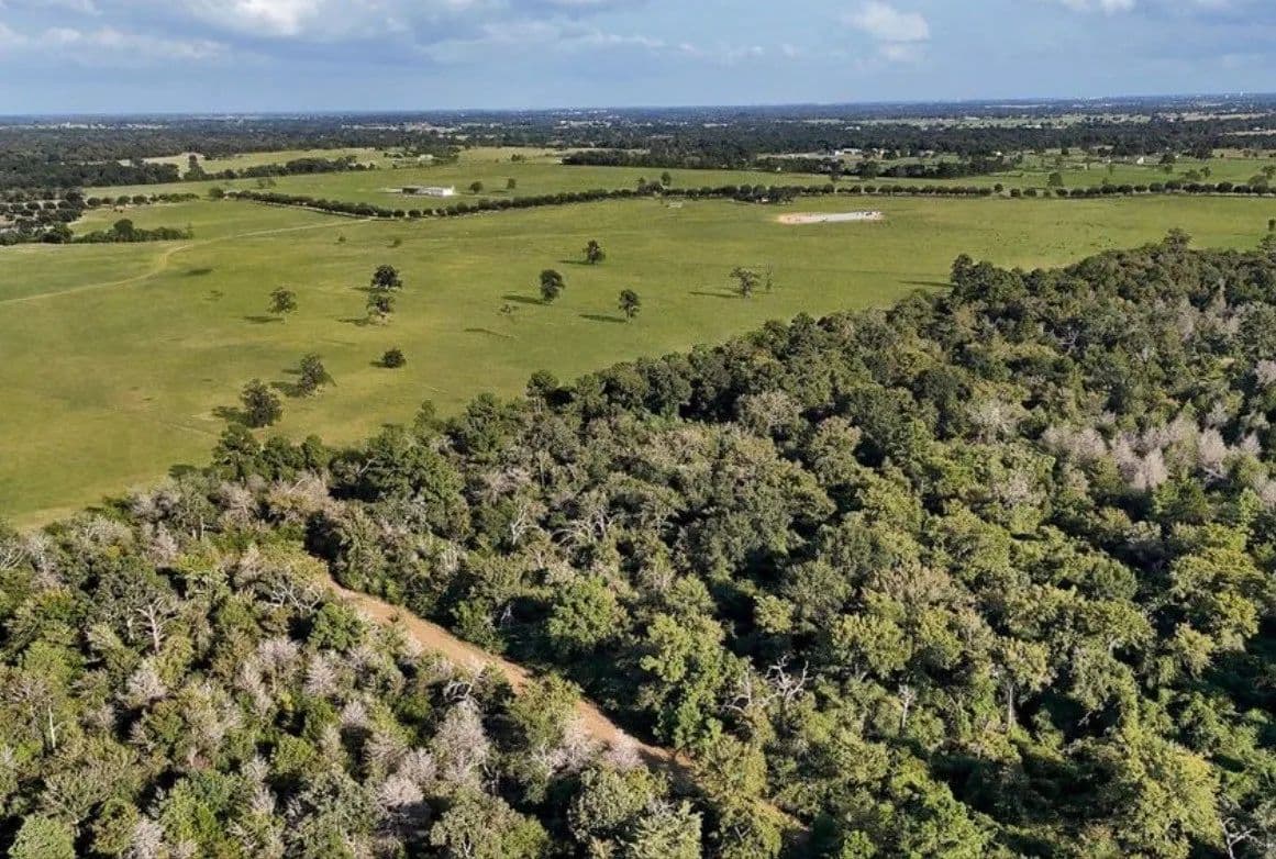 0.24 Acres of Land for Sale in Waller, Texas - Waller, Texas, 77445