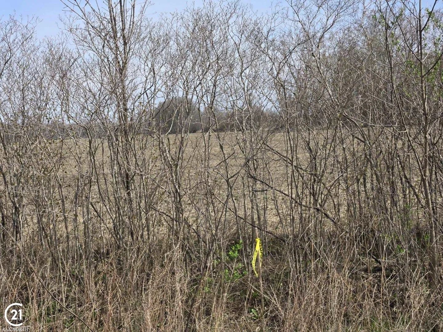 Lots & Land-Other in Richmond Twp - , Michigan, 48063