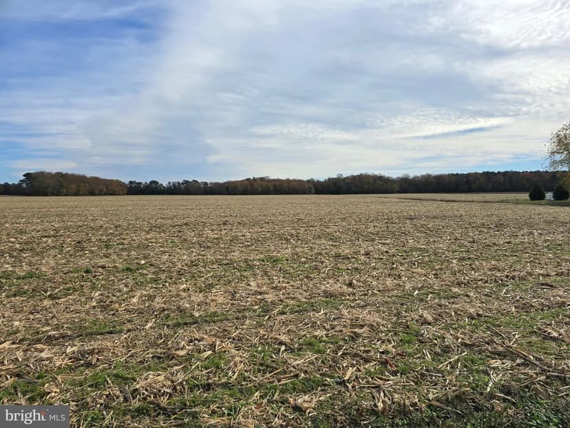 Property from 0 RICHARDSON RD ROAD - KW