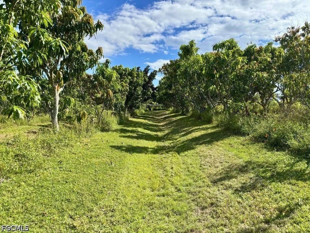 Vacant Land in Bokeelia - land for sale