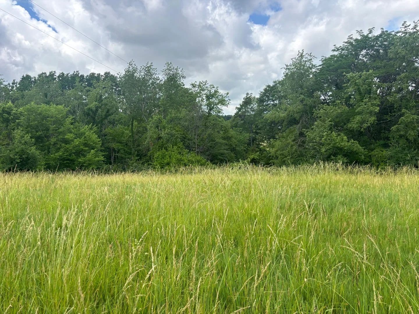Property from 1026/1027 Plum Circle - KW - Varna, Illinois, 61375