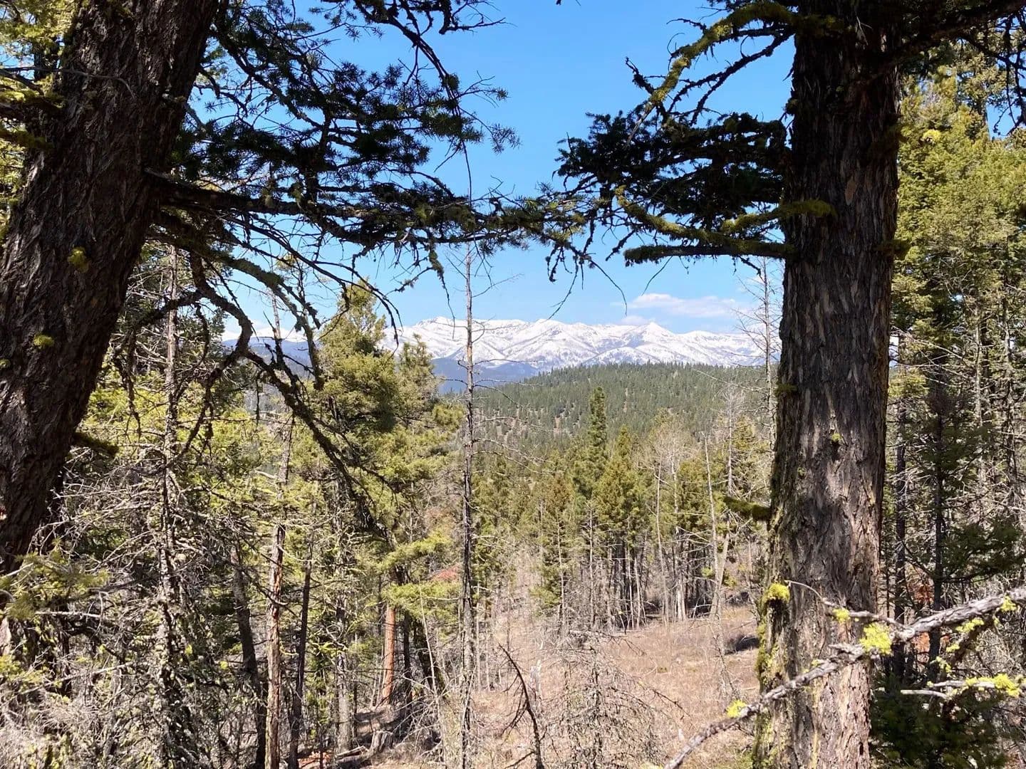 Property from 3595 Bear Gulch Road - KW - Lincoln, Montana, 59639