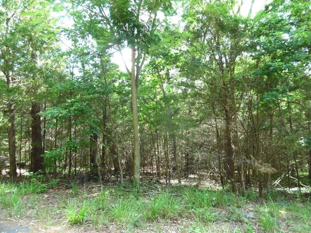 0.25 Acres of Land for Sale in Murchison, Texas - Murchison, Texas, 75778
