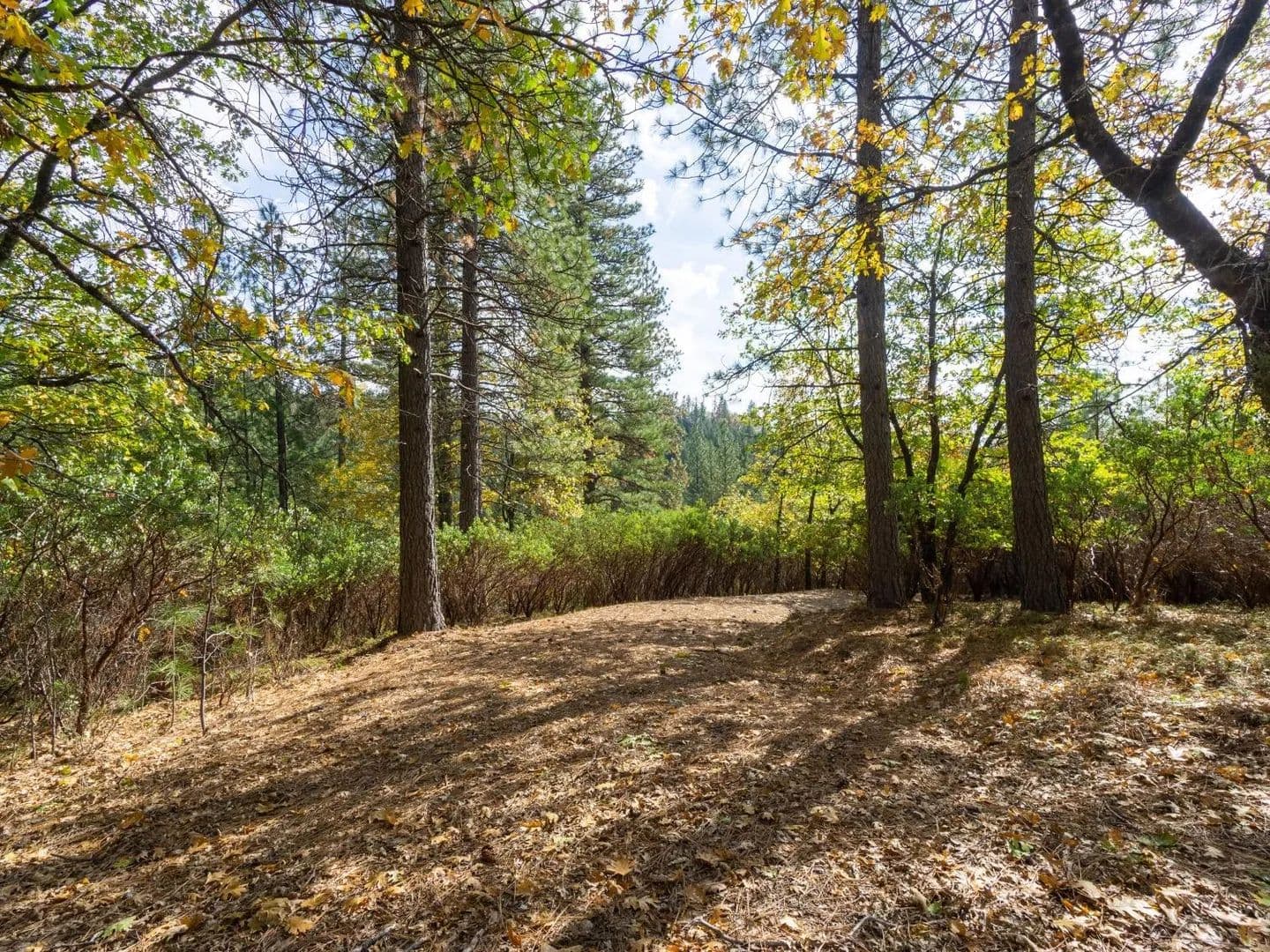Property from 5031 Anne Louise Lane - KW - Placerville, California, 95667