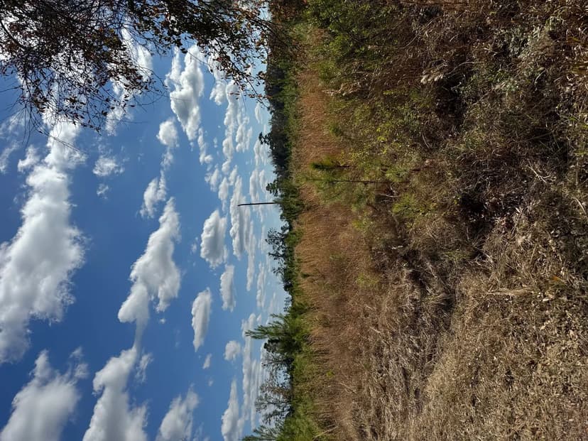 Vacant Land (10+ Acres) in LAKE CITY