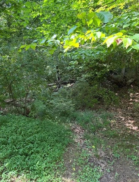 Land -Single Family Acreage in Barboursville - Barboursville, West Virginia, 25504