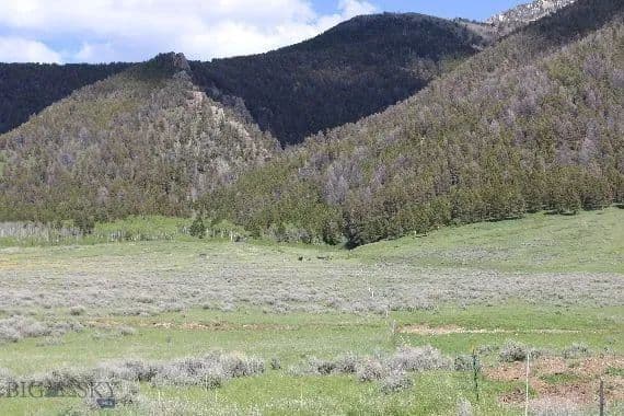 Vacant Land in Cameron - land for sale
