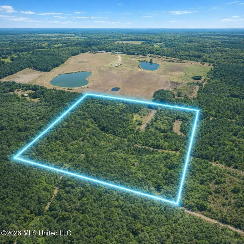 Property from 22410 Clark Lane - KW - Gulfport, Mississippi, 39503