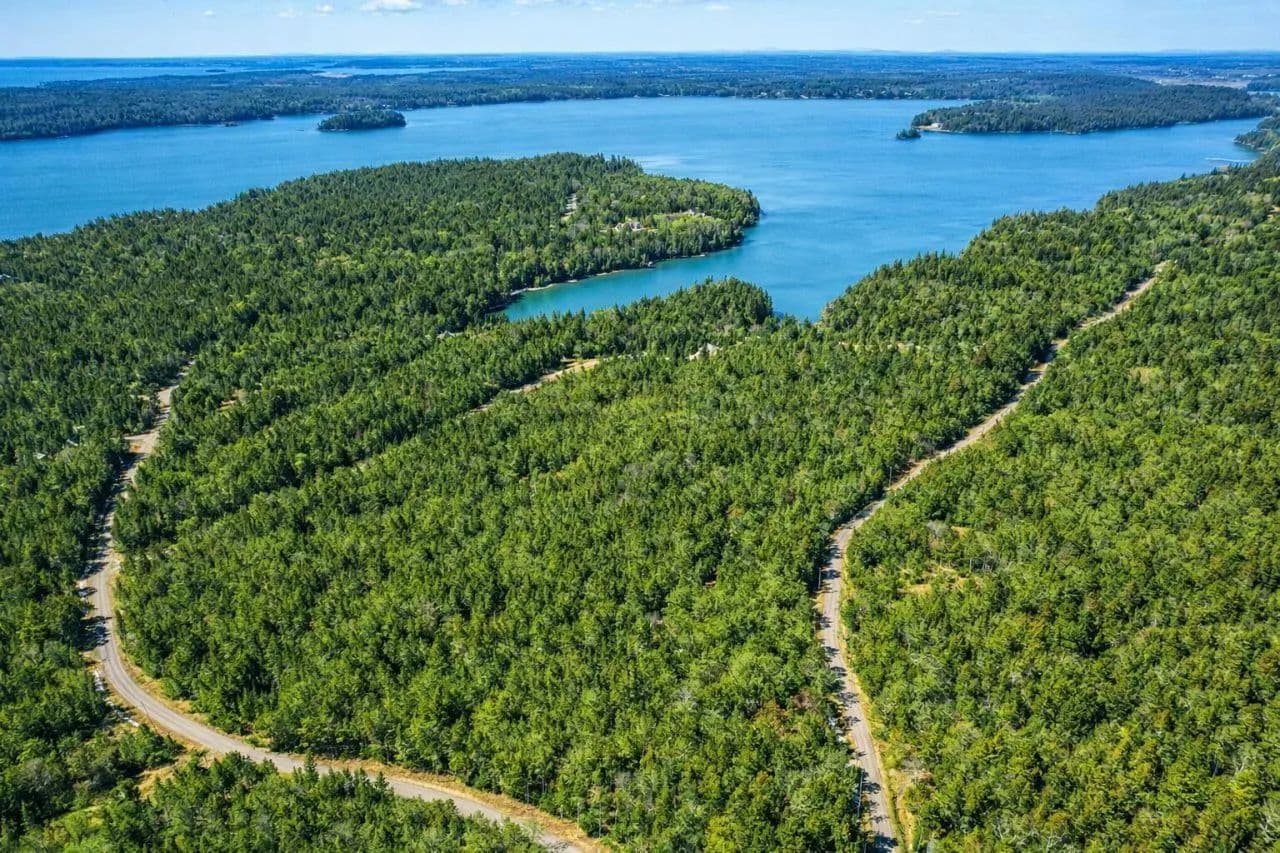 Land -Single Family Acreage in Machiasport - land for sale