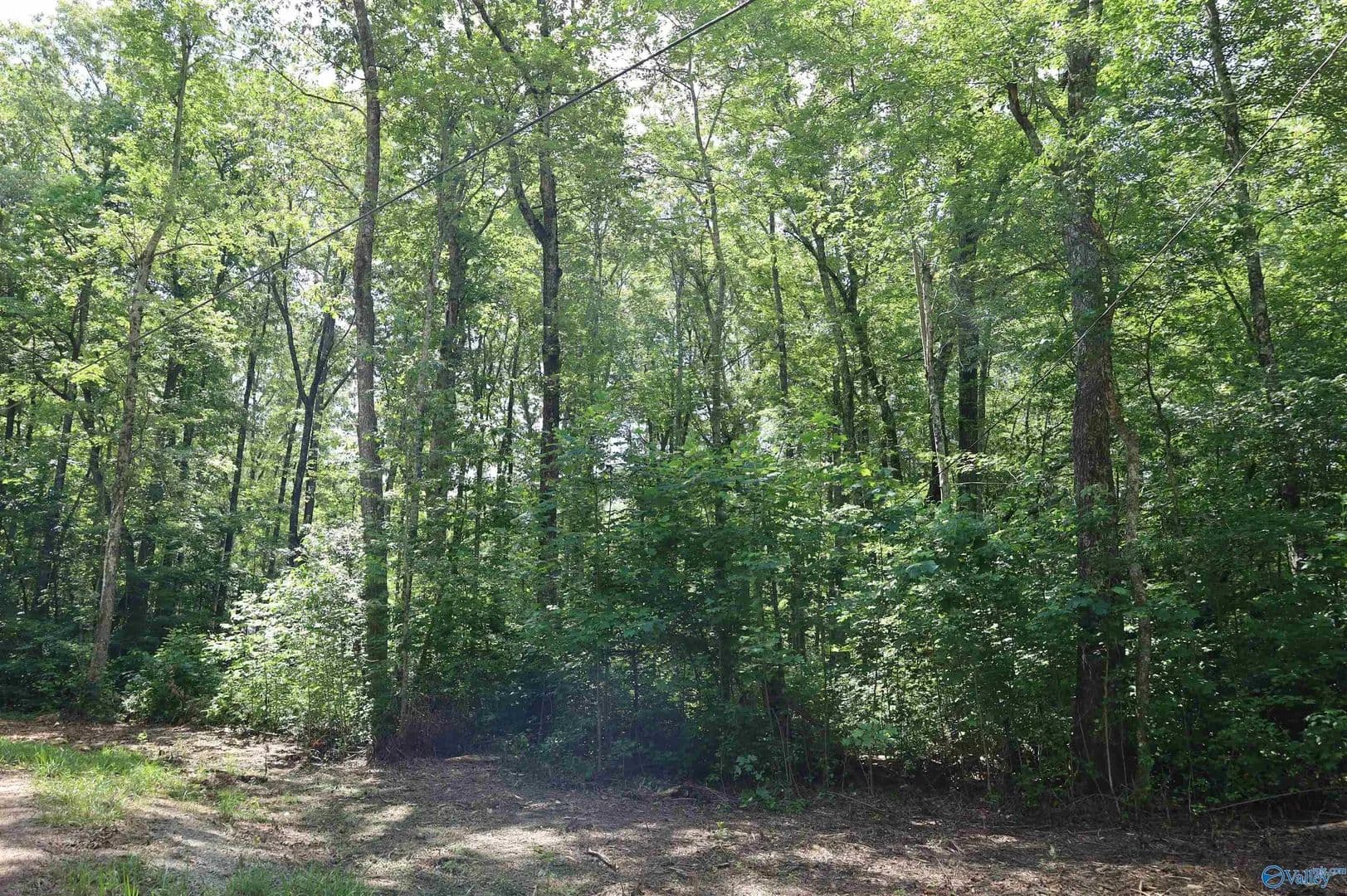 Property from 1.47 Acres Libby Lane - KW - Mentone, Alabama, 35984