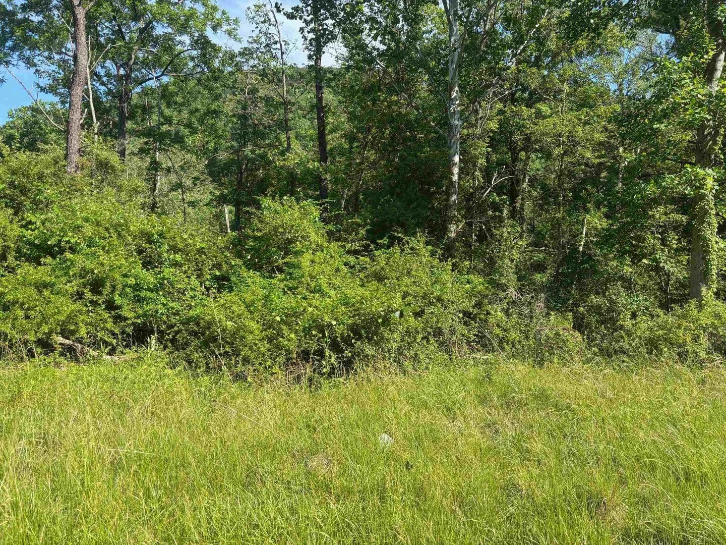 Property from TBD 1.99 Acres PARKERSBURG TPKE - KW - Swoope, Virginia, 24479