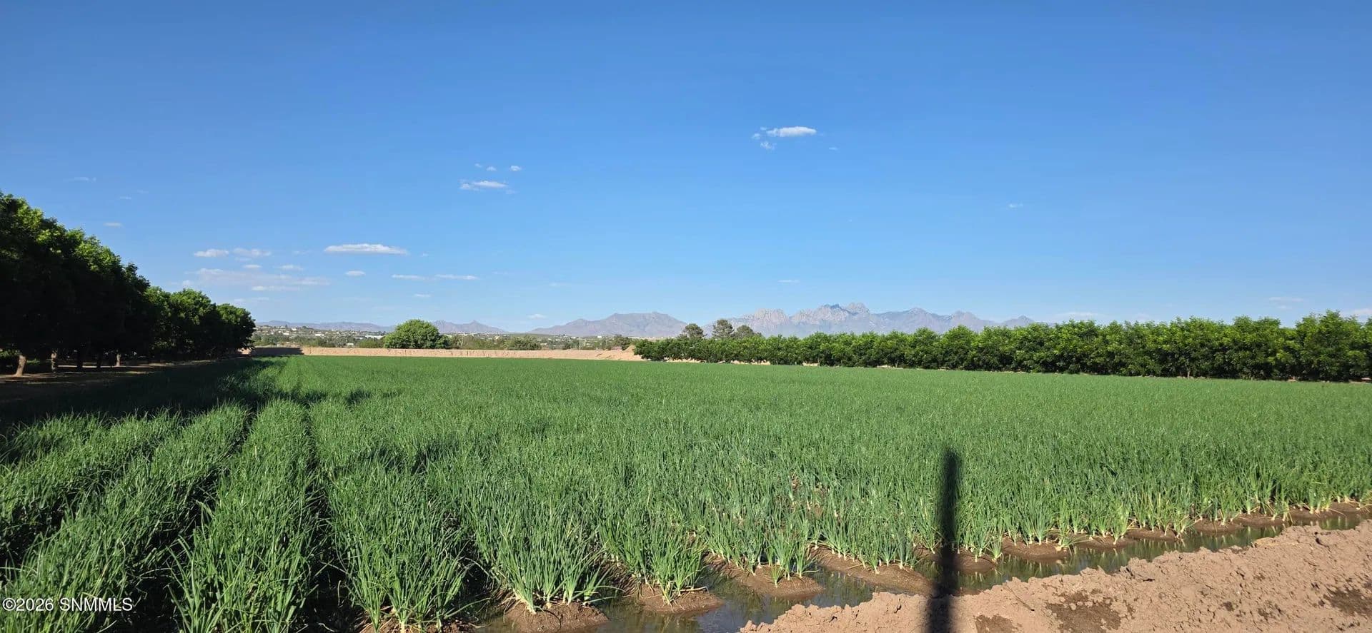 Property from 100 Fontana Way - KW - Las Cruces, New Mexico, 88007