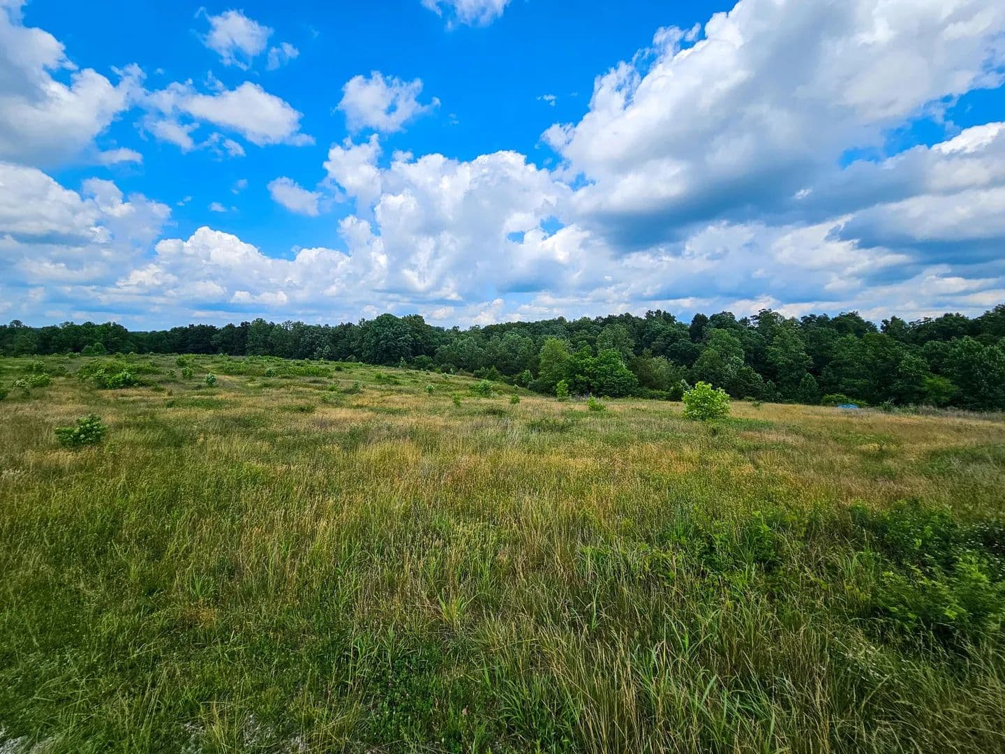 Property from 10 Cornetts Cv Road - KW - Hustonville, Kentucky, 40437