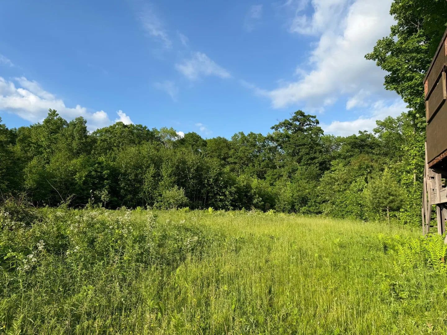 20 Acres of Land for Sale in Trego, Wisconsin - Trego, Wisconsin, 54888