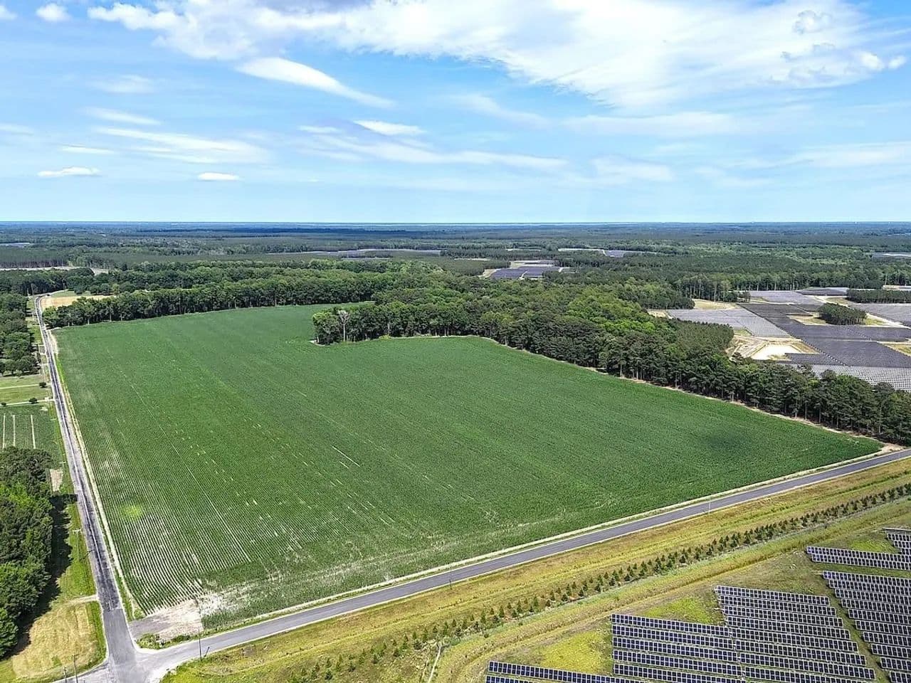 96.25 Acres of Farm, Timber and Hunting Land for Sale in Surry County VA! - Elberon, Virginia, 23846