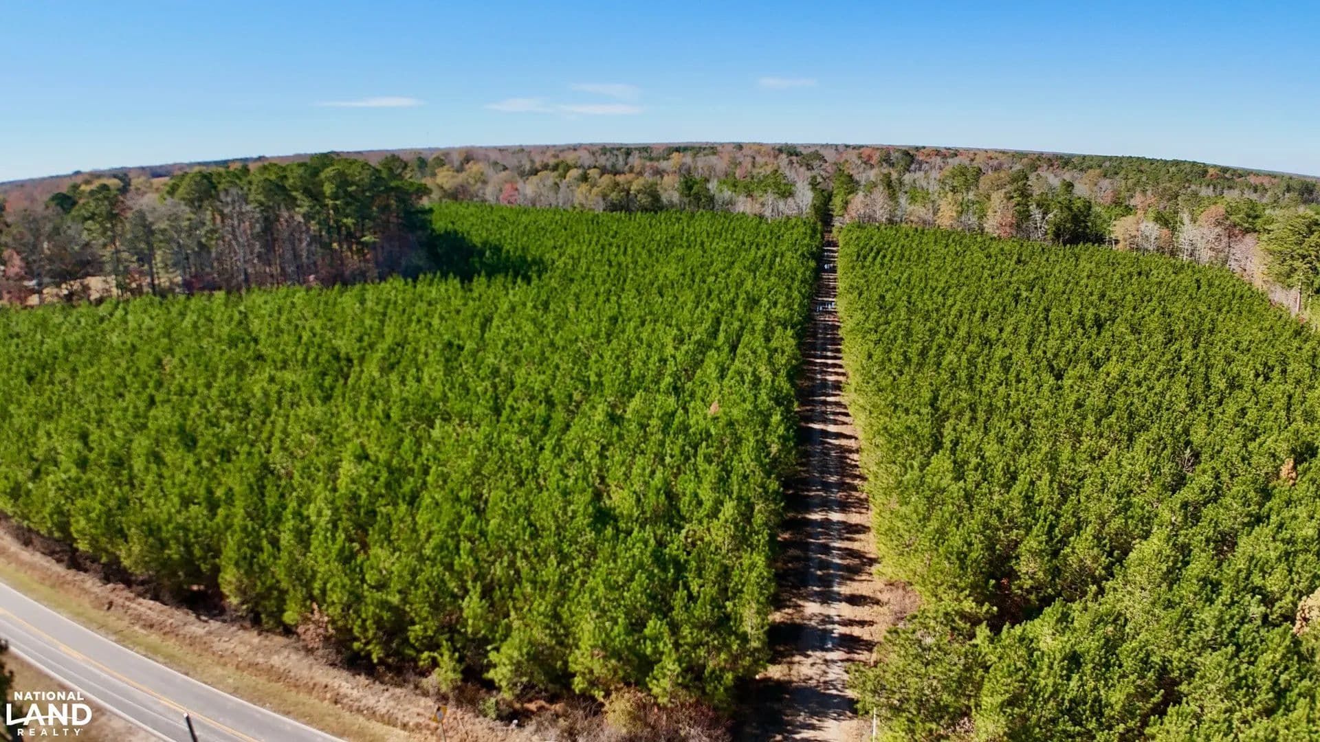 Hertford County Hunting Property - Murfreesboro, North Carolina, 27855