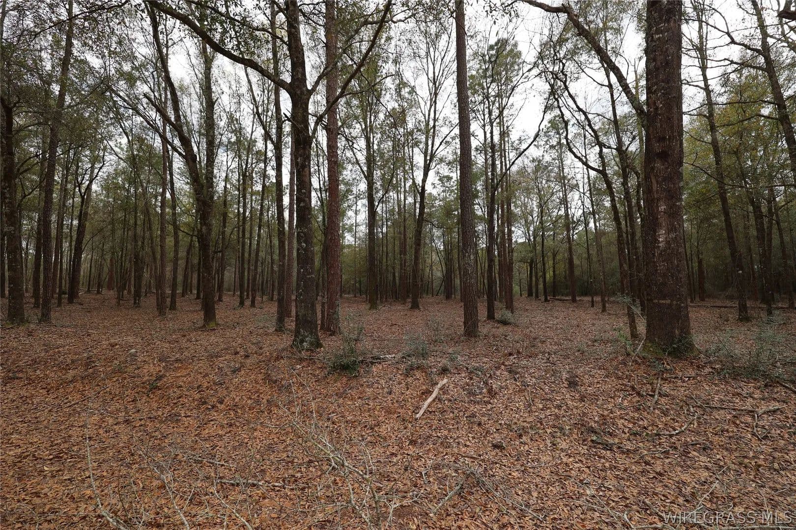 Property from 2190 County Road 156 - KW - Enterprise, Alabama, 36330