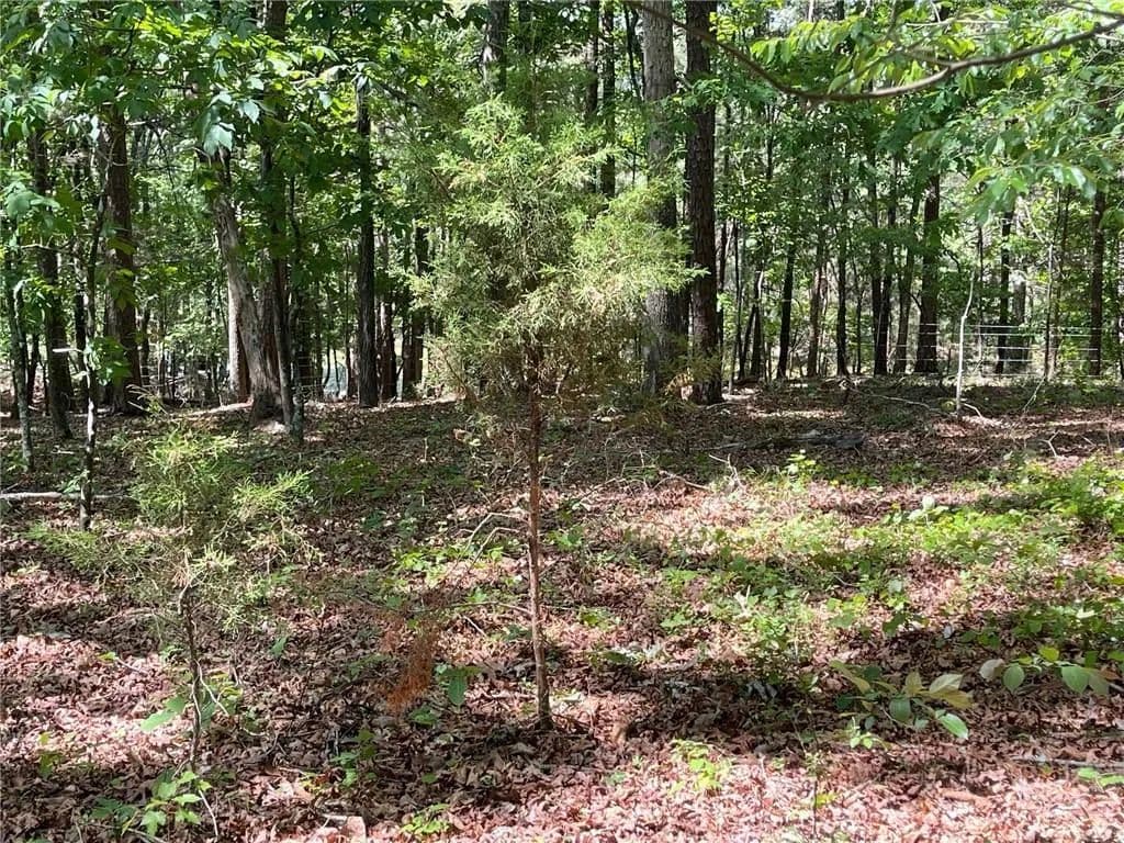 2.7 Acres of Land for Sale in Cave Spring, GA - Cave Spring, Georgia, 30124