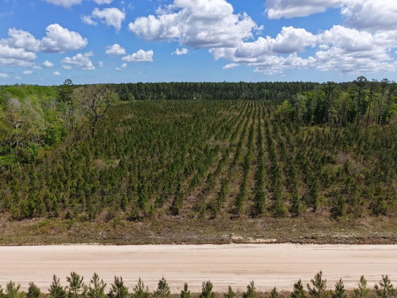 25.10 +/- Ac Land for Sale in Camden County, GA - White Oak, Georgia, 31568