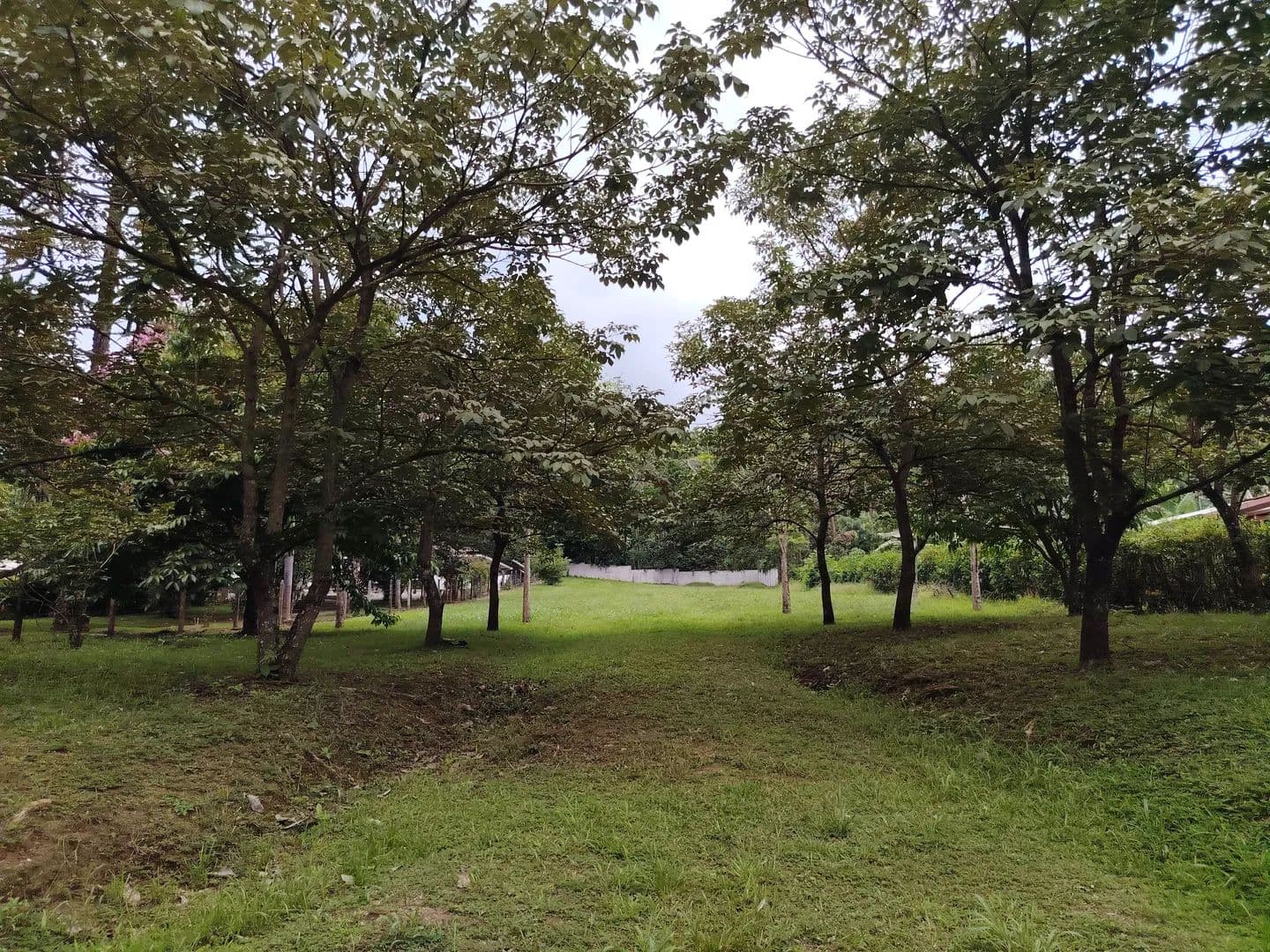 Venta de terreno para vivienda o vacacional en Pérez Zeledón - land for sale
